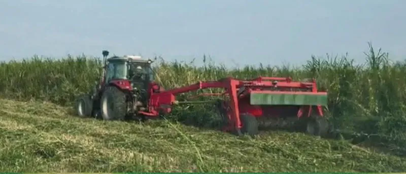 Изображение представляет собой скриншот из рабочего видео